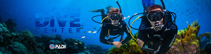 PADI Rescue Diver Certification: Skills, Safety, and Self-Reliance