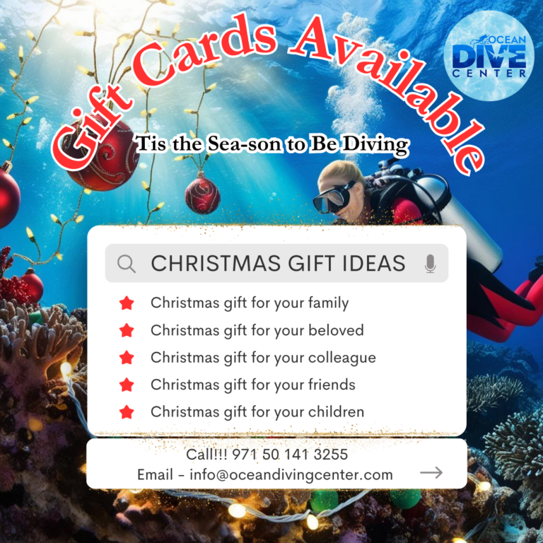 Holiday Gift Cards