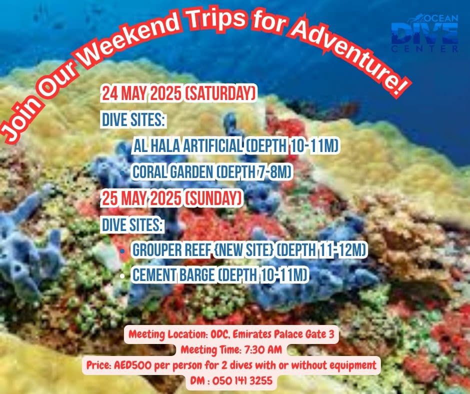 Ocean Dive Center Weekend Dives