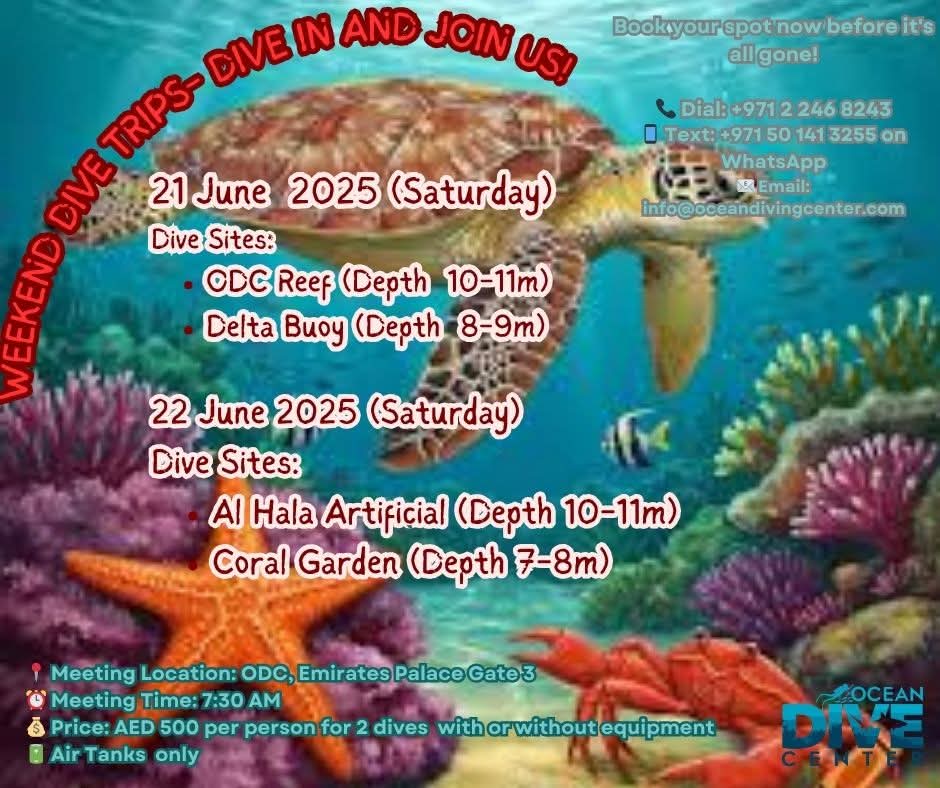 ODC Fun Dives