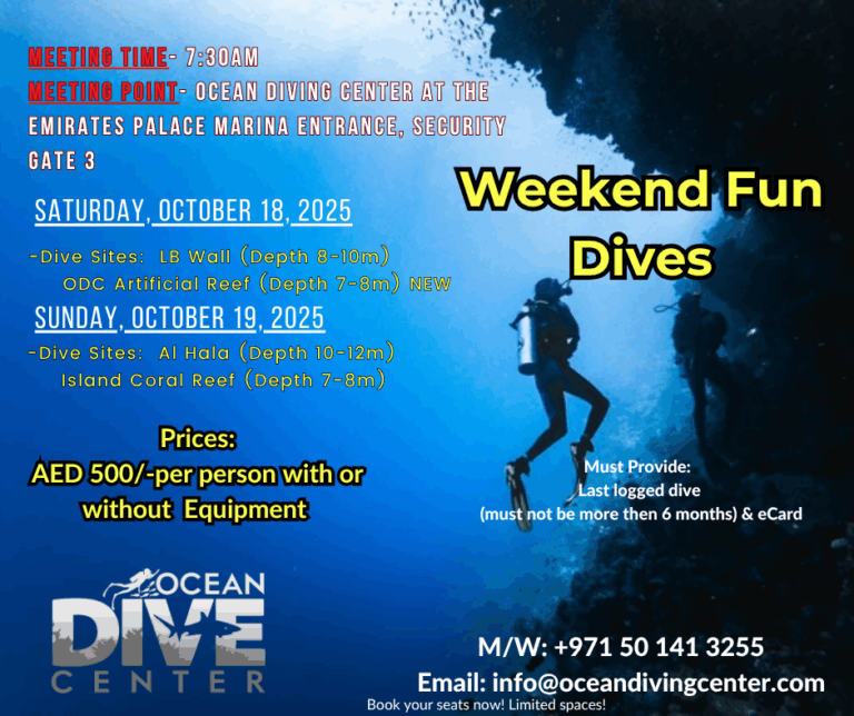 Fun Diving at Ocean Diving Center Abu Dhabi