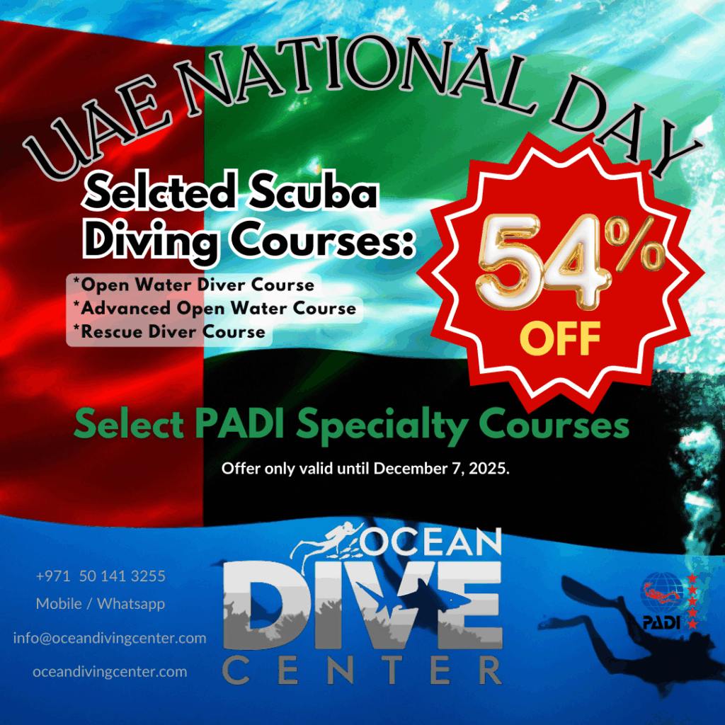 Ocean Dive Center Abu Dhabi UAE National Day Special 54% Off