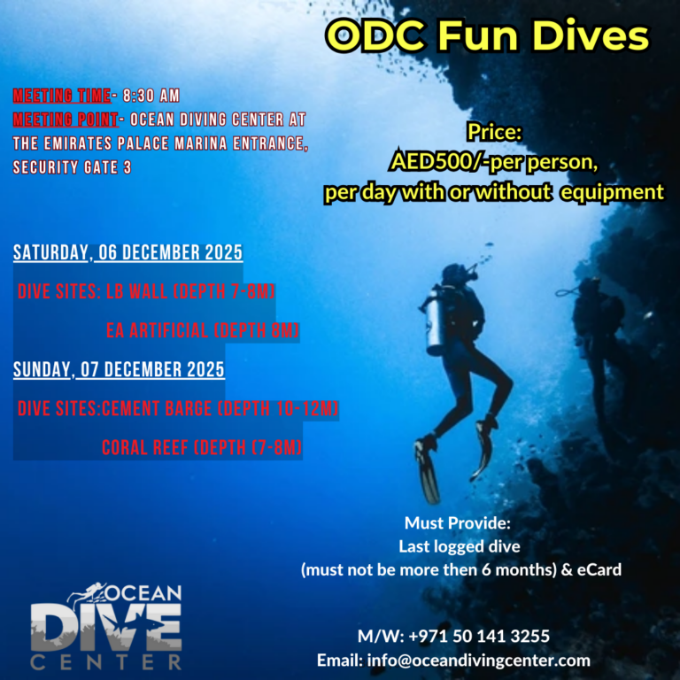 Ocean Dive Center Abu Dhabi Fun Dives