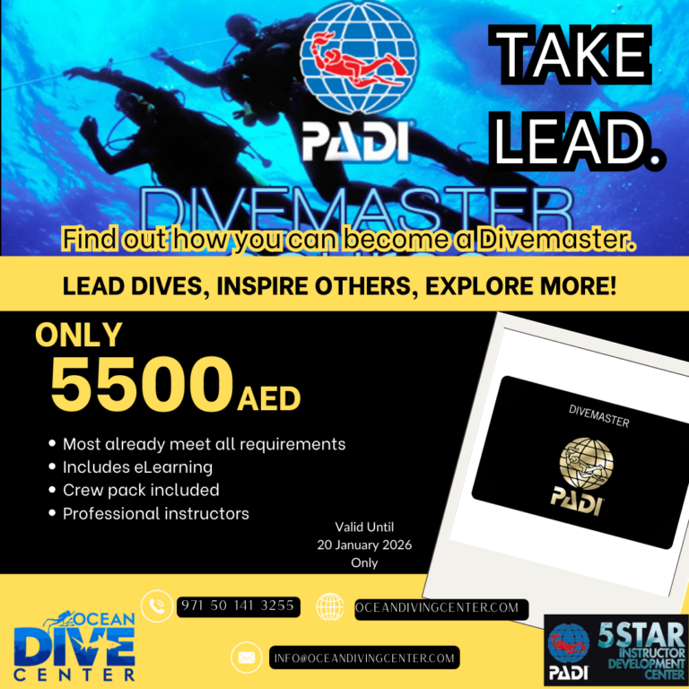 Ocean Dive Center Abu Dhabi Padi Divemaster Promotion