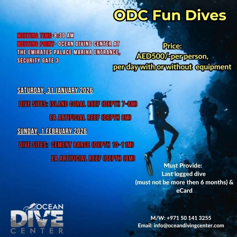 Ocean Dive Center Abu Dhabi Fun Dives