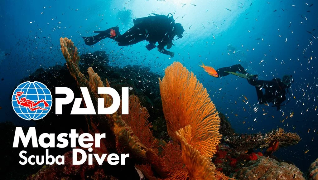 Padi Master Diver