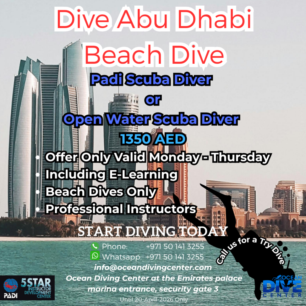 Ocean Dive Center Abu Dhabi - Beach Dive - Get Certified on the Beach